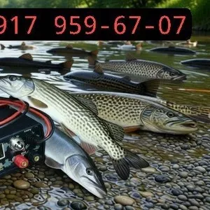 прибор rich p 2000 электролов